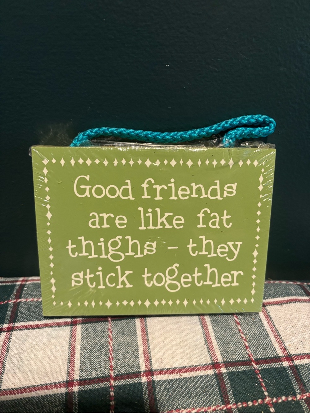 NWT Funny Green Hanging Sign - Good friends are like fat thighs